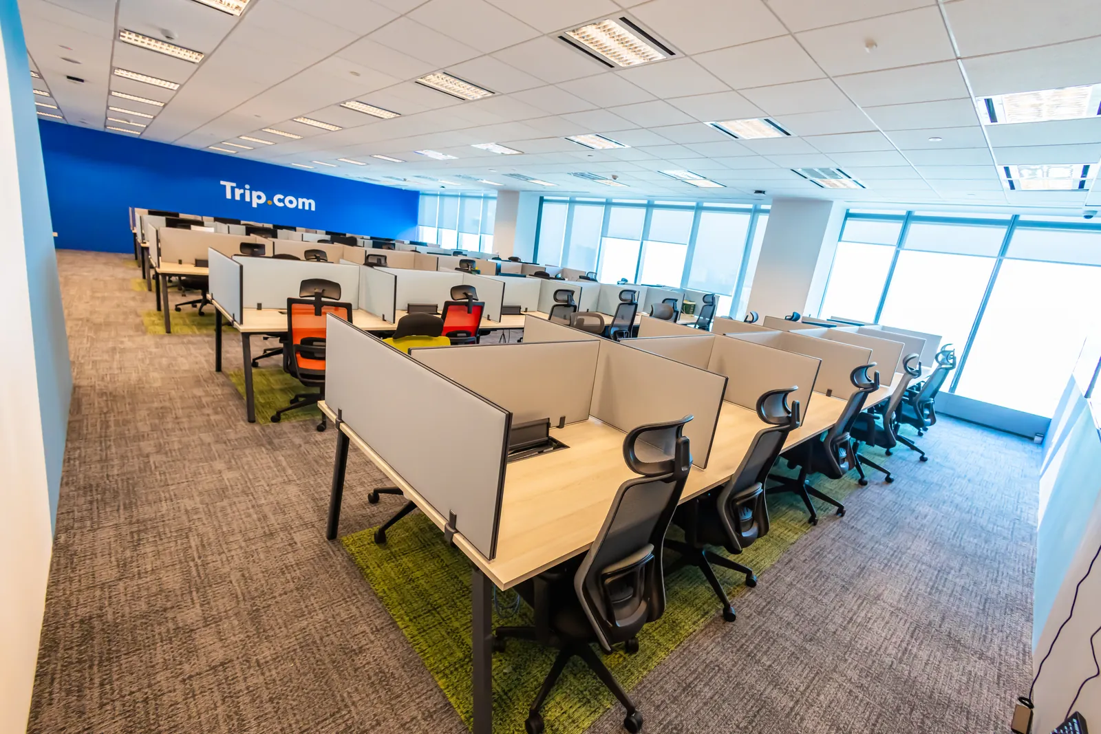 A finished open-plan office with a brand feature wall and screened workstations
