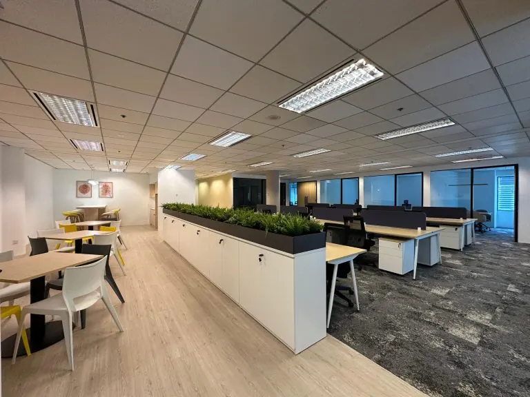 Completed open-plan office floor with workstations and planter boxes